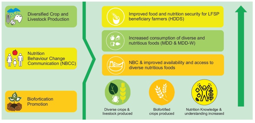 Rapid Nutrition and Biofortification Study at a Glance