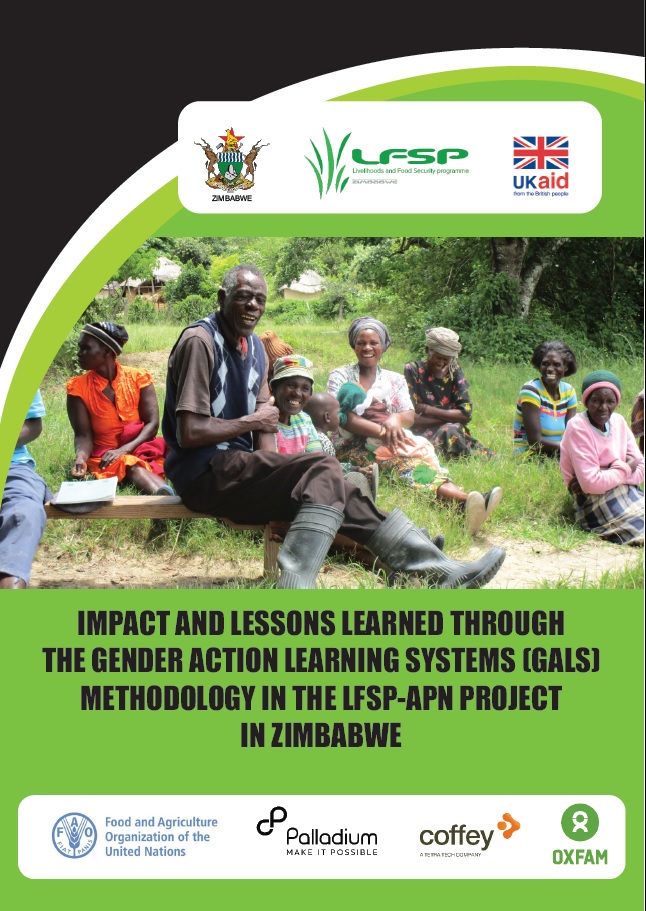 Impact and lessons learned through the Gender Action Learning Systems (GALS)